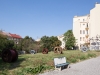 Foto: Tomáš Souček
