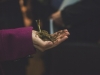 Foto: Markéta M. Černá