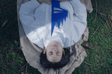 › Mali Weil: Lesy/ Evokace – Forests / An evocation