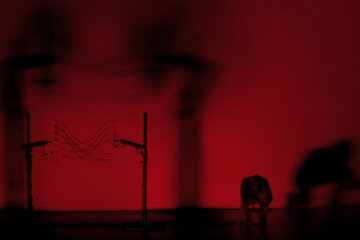 › Field / Foto Dominique Hawry
